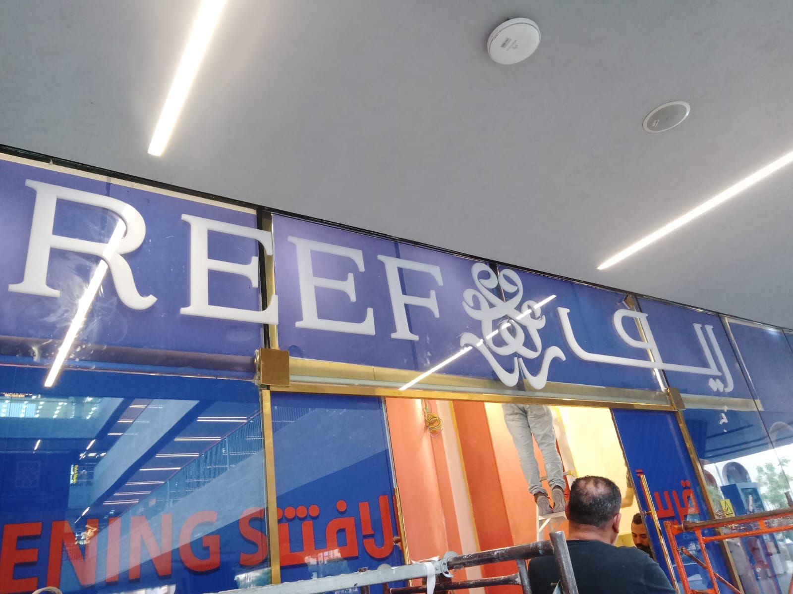 حروف بارزة استيل ذهبي - ريف REEF